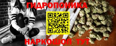 прущие грибы Заводоуковск