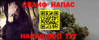 прущие грибы Заводоуковск