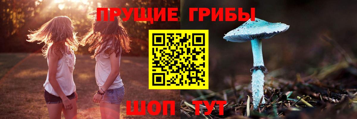 Ликино-Дулёво  наркотики  Галлюциногенные грибы Psilocybine cubensis  Вход с VPN  Галлюциногенные грибы Magic Shrooms 